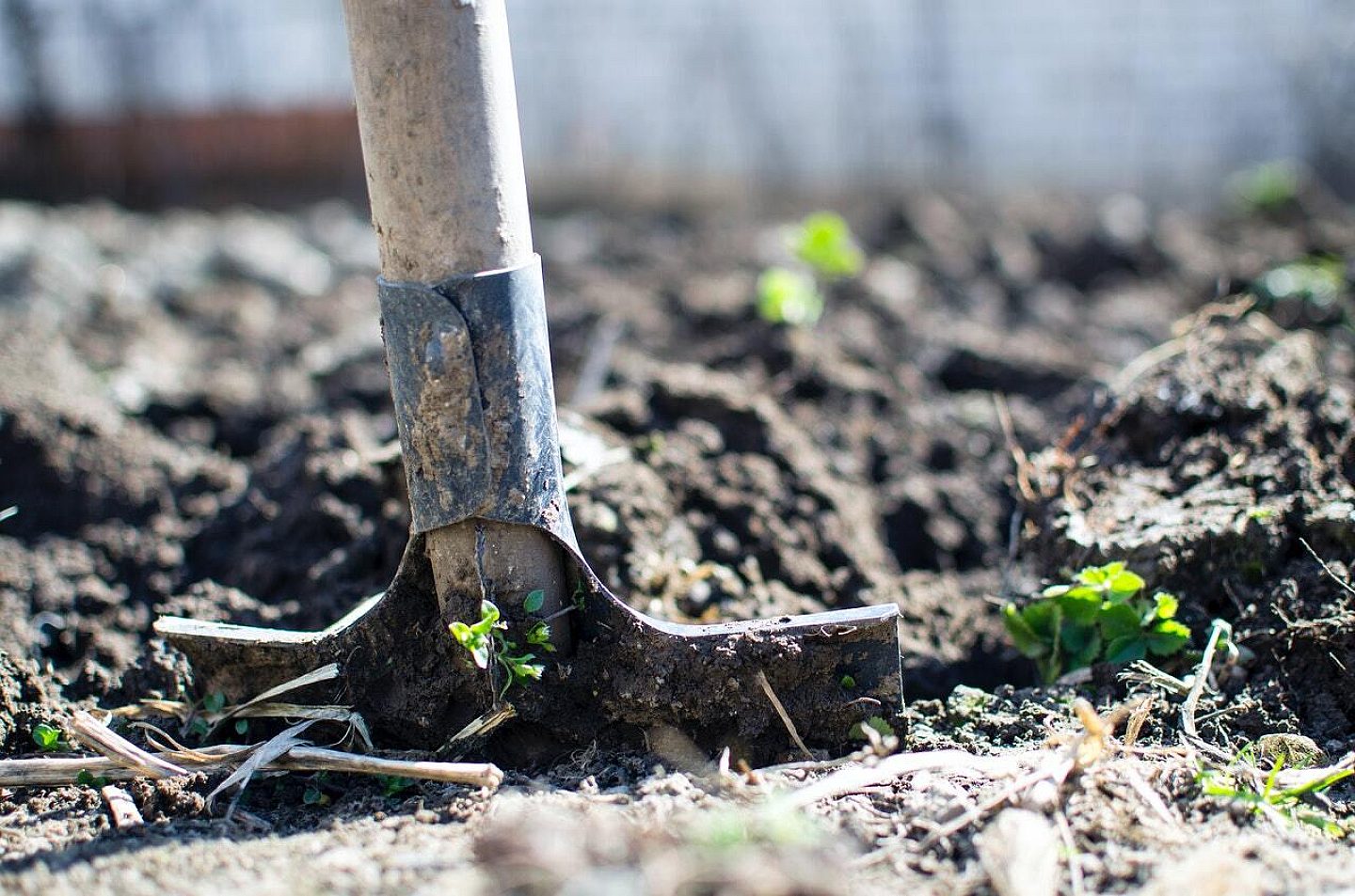 Digging Dirt